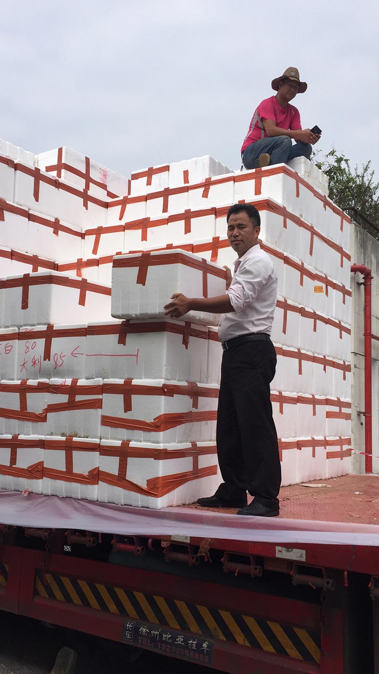 w66.����(�й���)_���������콢��