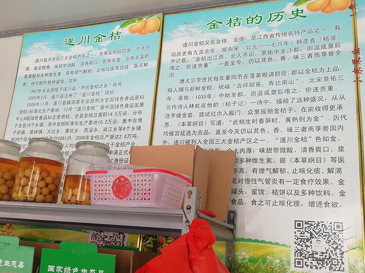 w66.����(�й���)_���������콢��