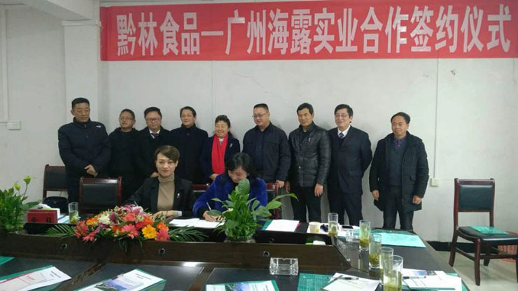 w66.����(�й���)_���������콢��