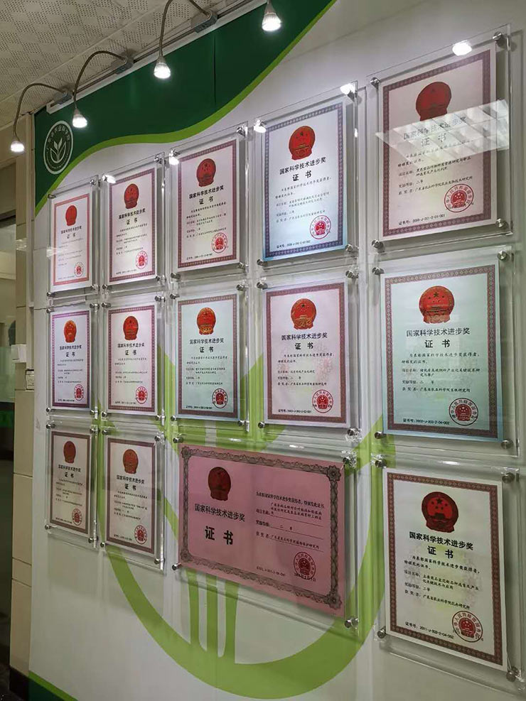 w66.����(�й���)_���������콢��