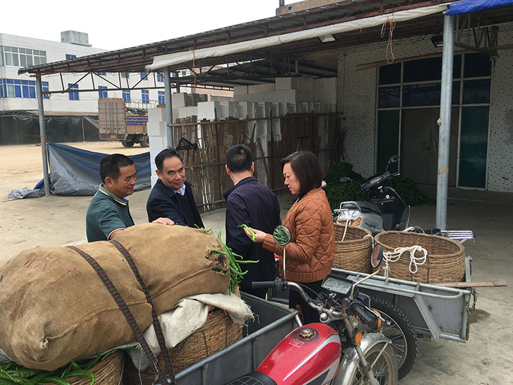 w66.����(�й���)_���������콢��