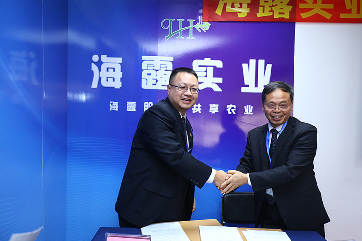 w66.����(�й���)_���������콢��