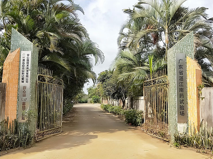 w66.����(�й���)_���������콢��