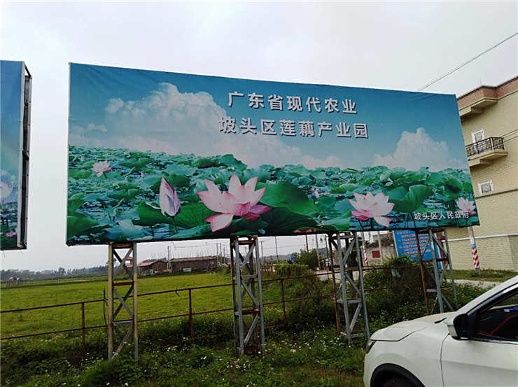 w66.����(�й���)_���������콢��