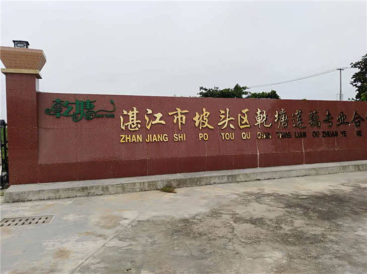 w66.����(�й���)_���������콢��