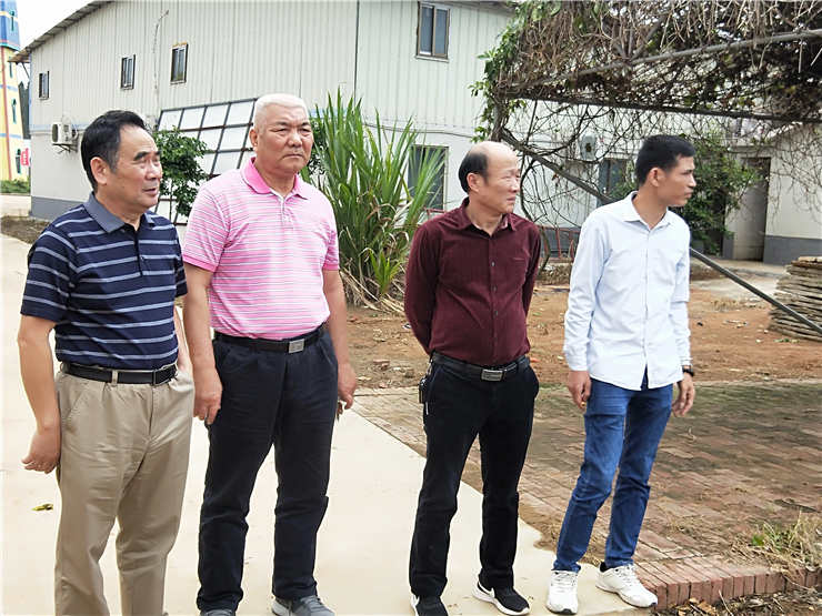 w66.����(�й���)_���������콢��