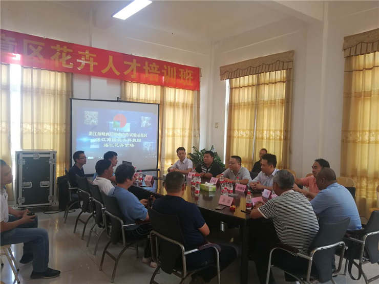 w66.����(�й���)_���������콢��