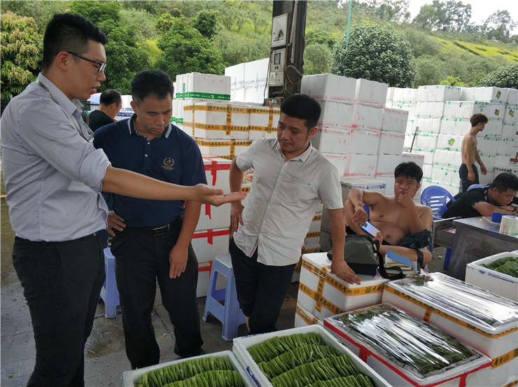 w66.����(�й���)_���������콢��