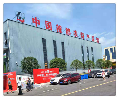 w66.����(�й���)_���������콢��