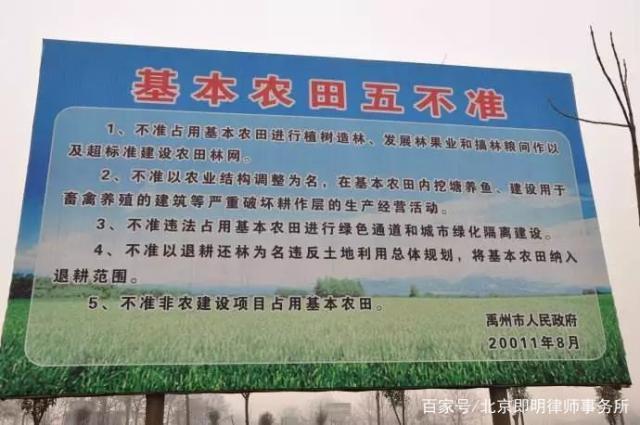 w66.����(�й���)_���������콢��