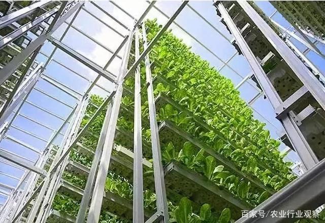 w66.����(�й���)_���������콢��