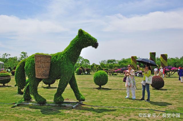 w66.����(�й���)_���������콢��