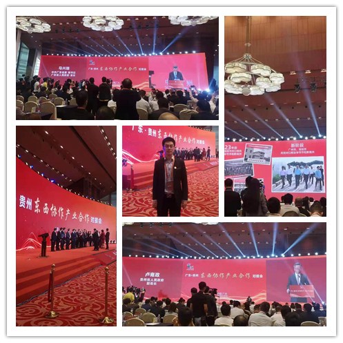 w66.����(�й���)_���������콢��