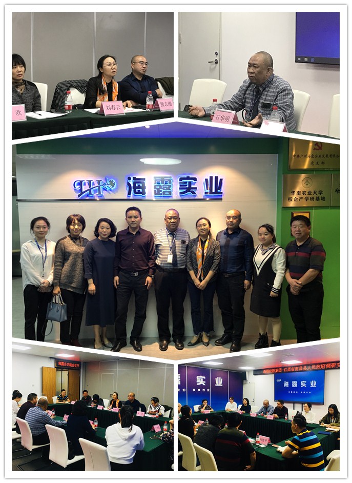 w66.����(�й���)_���������콢��