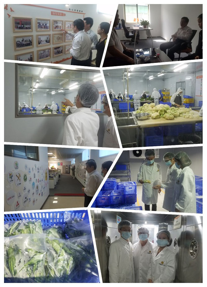 w66.����(�й���)_���������콢��