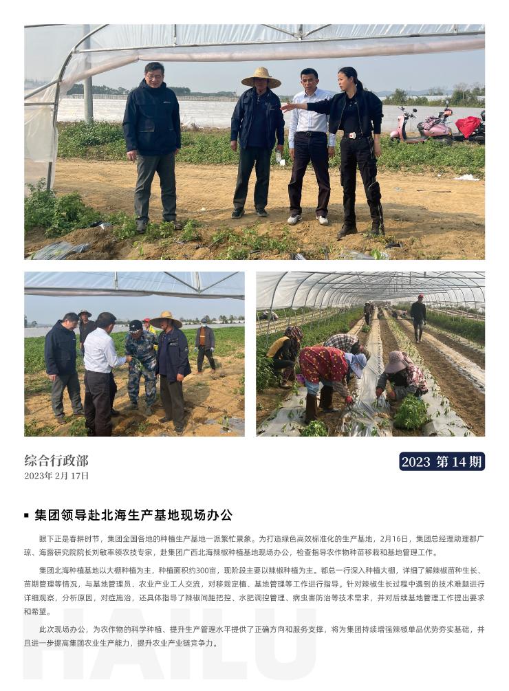 w66.����(�й���)_���������콢��