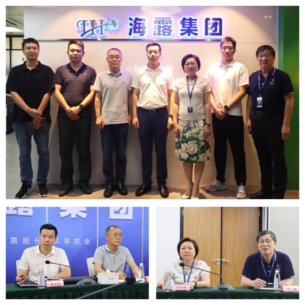 w66.����(�й���)_���������콢��