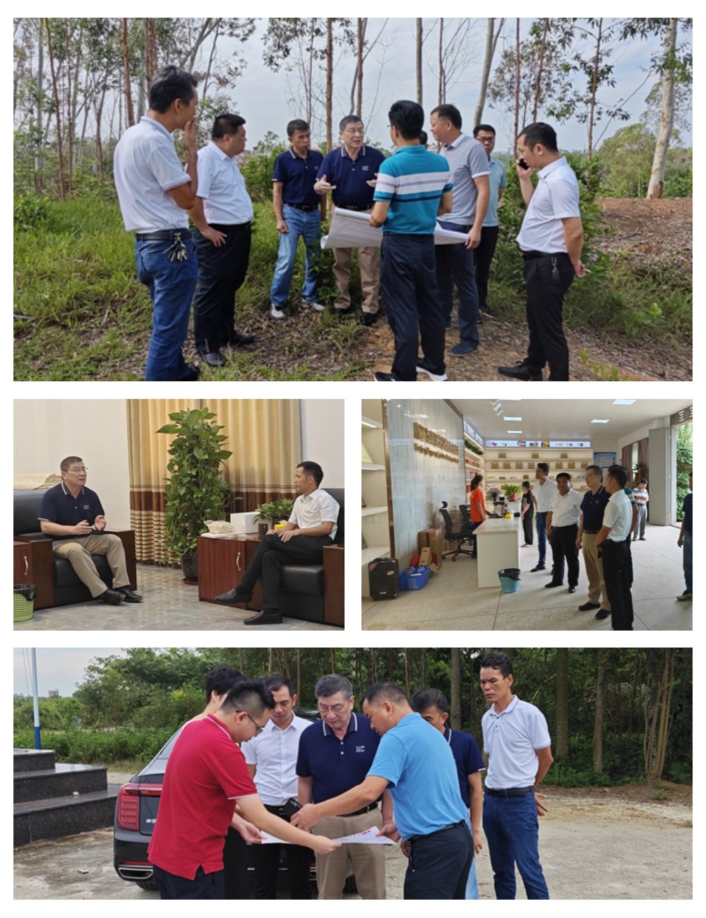 w66.����(�й���)_���������콢��