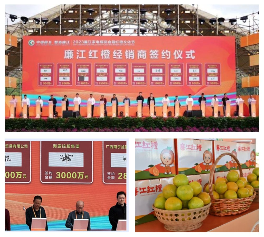 w66.����(�й���)_���������콢��