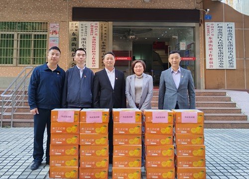 �ᶨ�����������������ٷ�չ