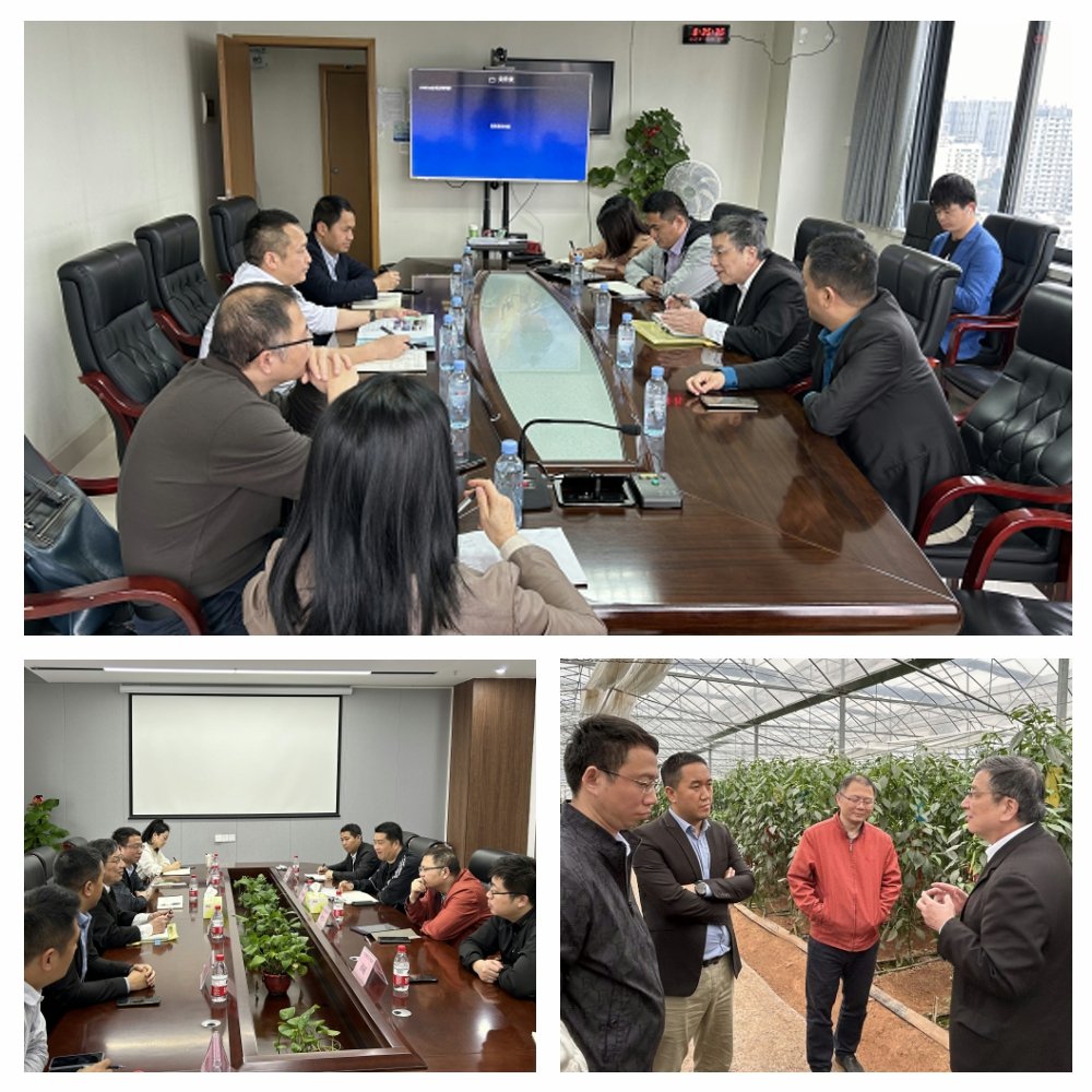 w66.����(�й���)_���������콢��