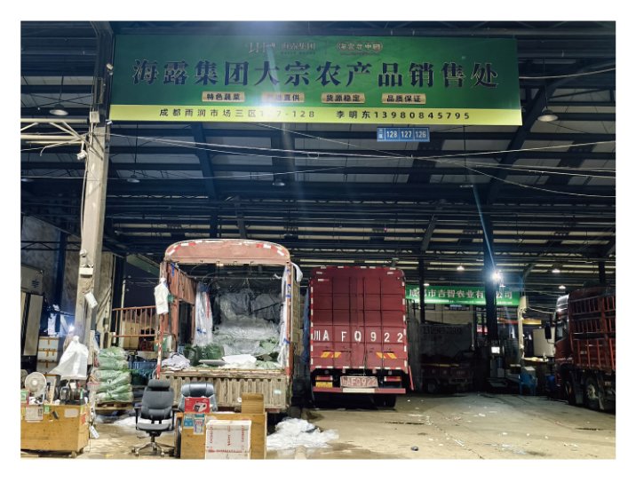 w66.����(�й���)_���������콢��