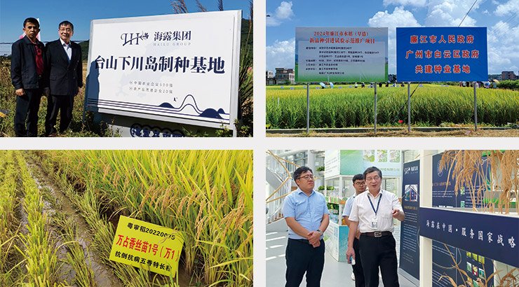 w66.����(�й���)_���������콢��