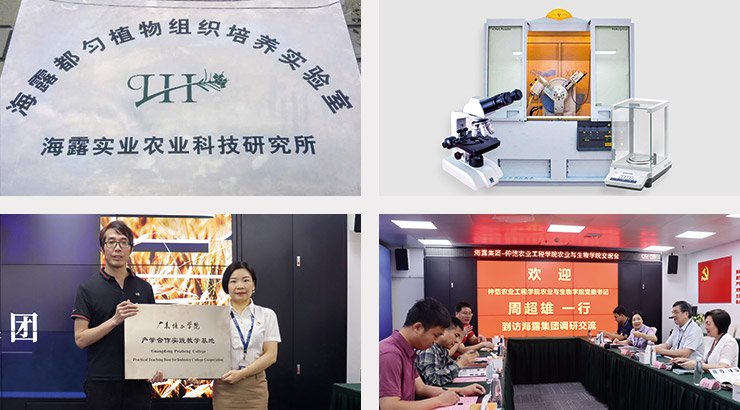 w66.����(�й���)_���������콢��