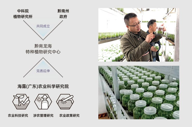 w66.����(�й���)_���������콢��