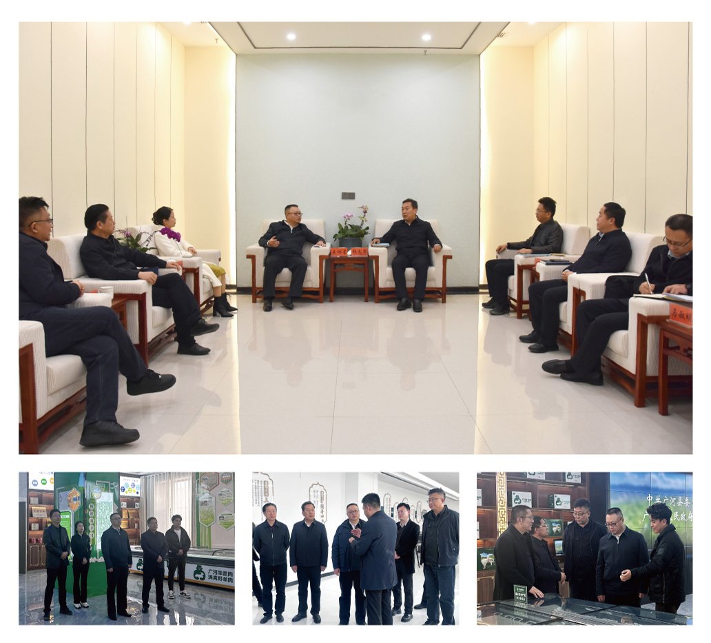 w66.����(�й���)_���������콢��