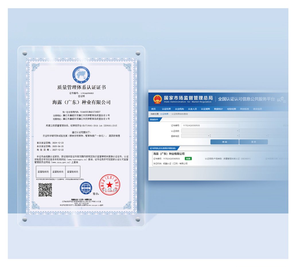 w66.����(�й���)_���������콢��