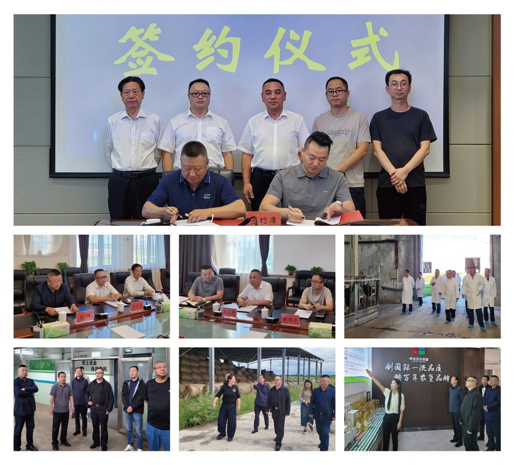 w66.����(�й���)_���������콢��